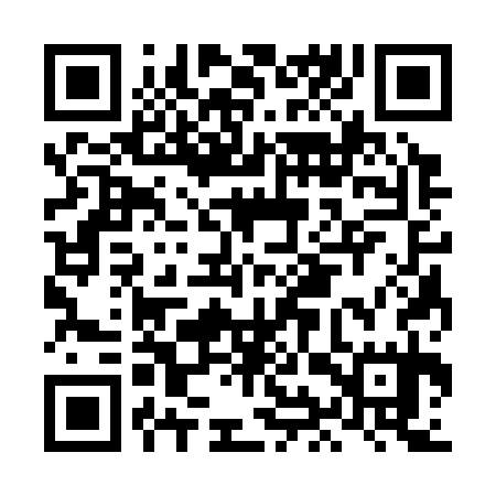 QR code for LIS335