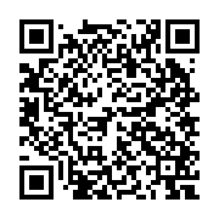 QR code for LIZ241