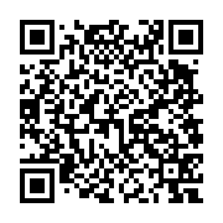 QR code for LKV475