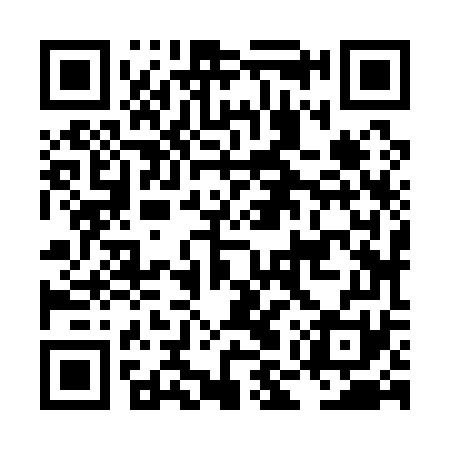 QR code for LMZ171