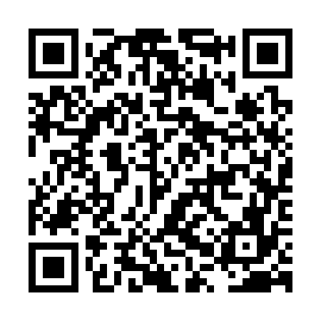 QR code for LPS376