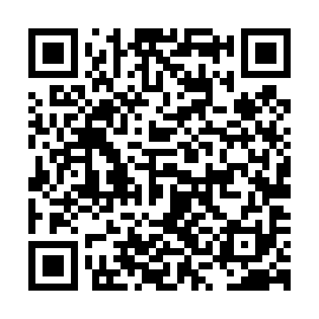 QR code for LSL491