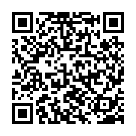 QR code for LUN239
