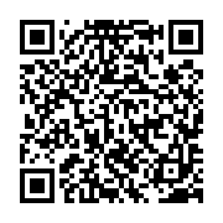 QR code for LUN593