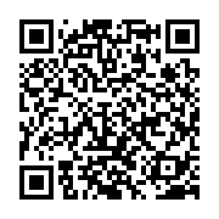 QR code for LUY339