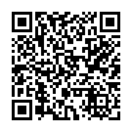 QR code for LXV381