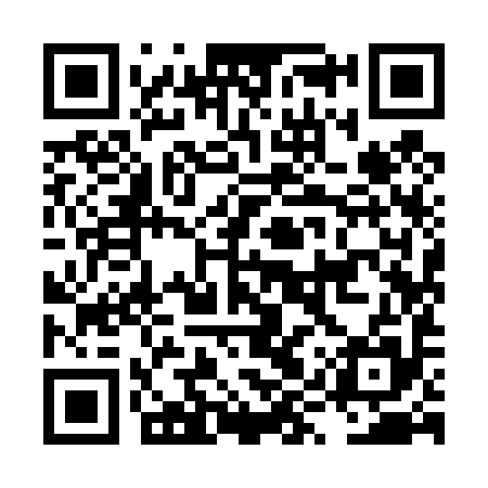 QR code for LYY495