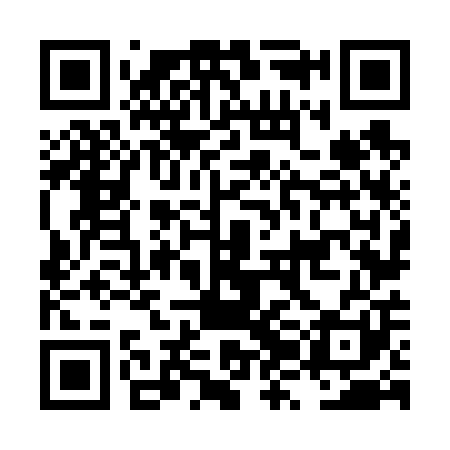 QR code for LZN601