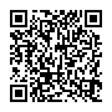 QR code for LZX381