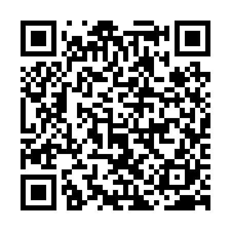 QR code for MAS220
