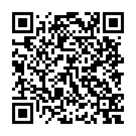 QR code for MAX533