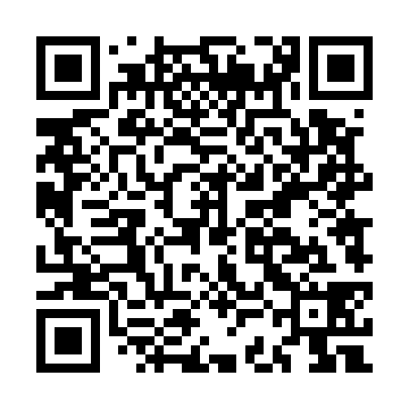 QR code for MCD538