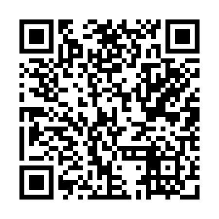 QR code for MDG309