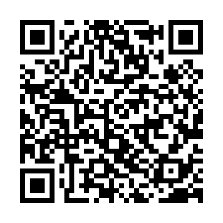 QR code for MDL038