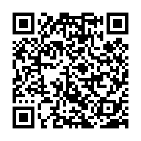 QR code for MEG439