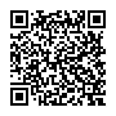 QR code for MEG913