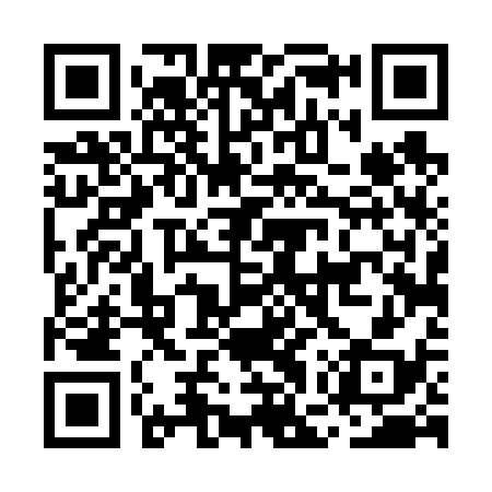 QR code for MGT638