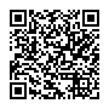 QR code for MIC383