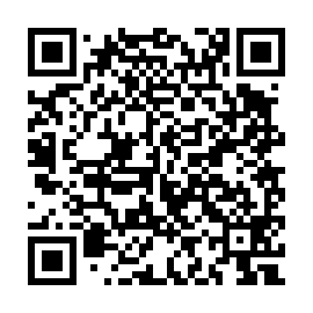 QR code for MIR499
