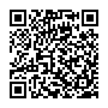 QR code for MJV294