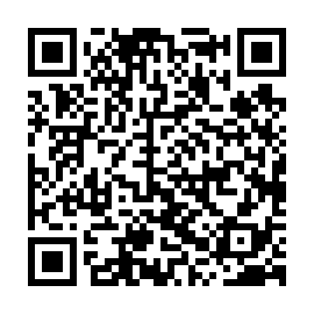 QR code for MPP638
