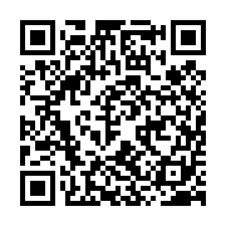 QR code for MSQ451