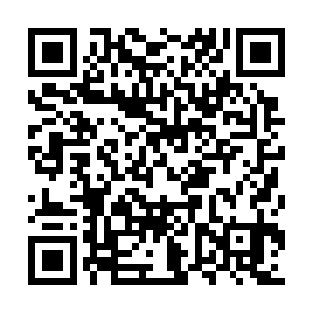 QR code for MVP331