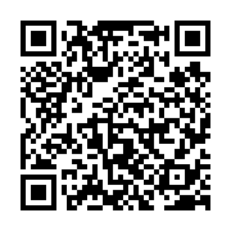 QR code for NAN638