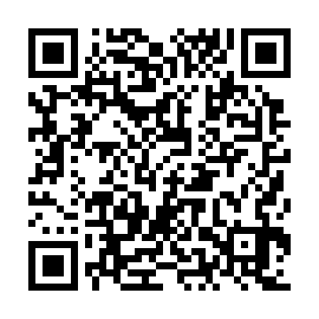 QR code for NEP333