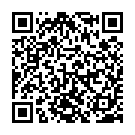 QR code for NES591