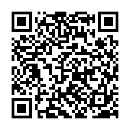QR code for NFM333