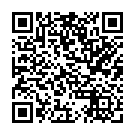 QR code for NIB313