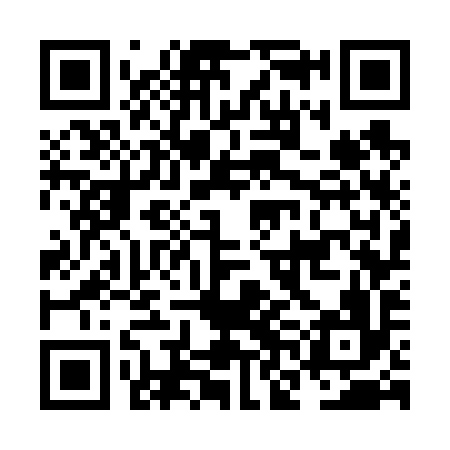 QR code for NNG696