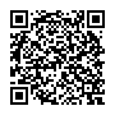 QR code for NNM256