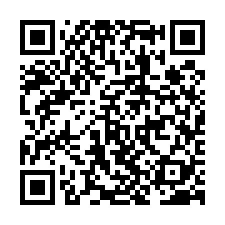 QR code for NNS529