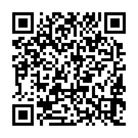 QR code for NOU393