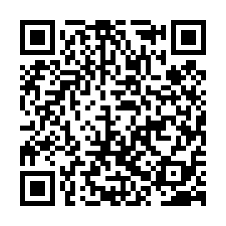 QR code for NPU419