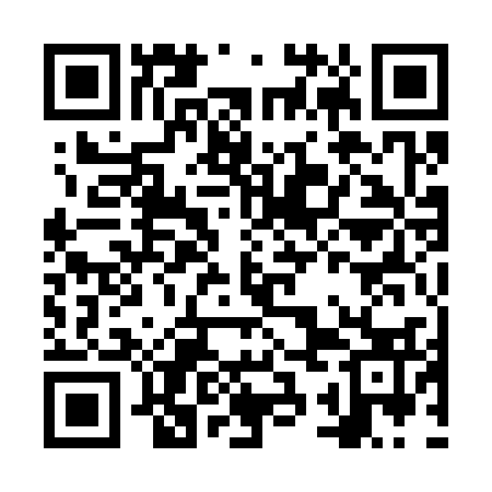 QR code for NSA333