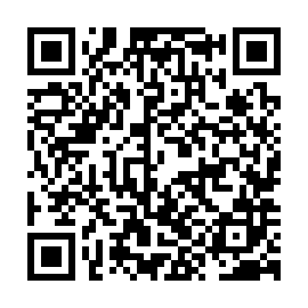 QR code for NYN382