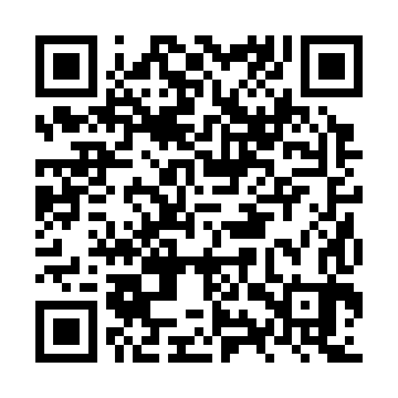 QR code for NYR383