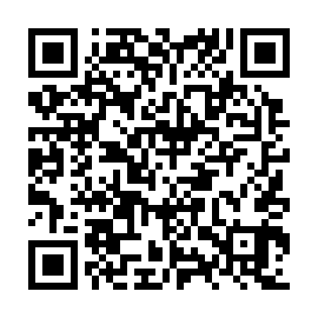 QR code for NYT341