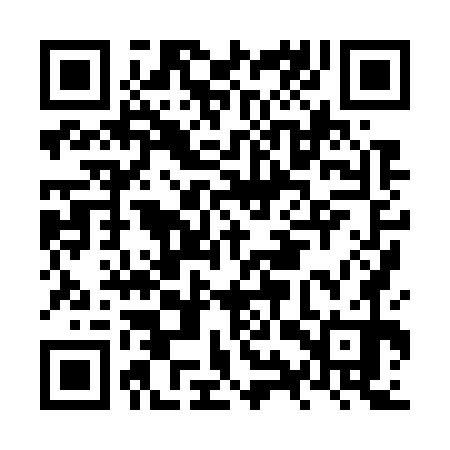QR code for NYX770