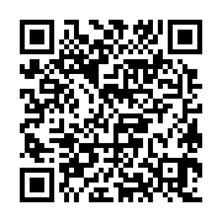 QR code for OMG381