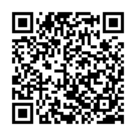 QR code for ORG960