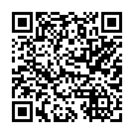 QR code for OZD295