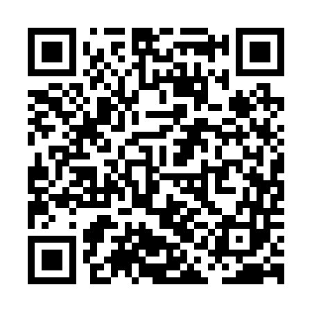 QR code for PAA243