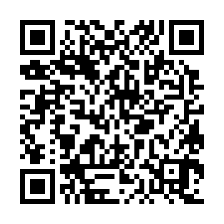 QR code for PAG380