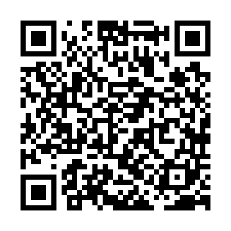 QR code for PAH741