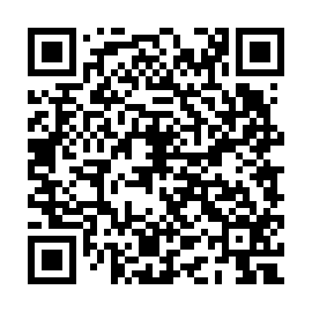 QR code for PAT616