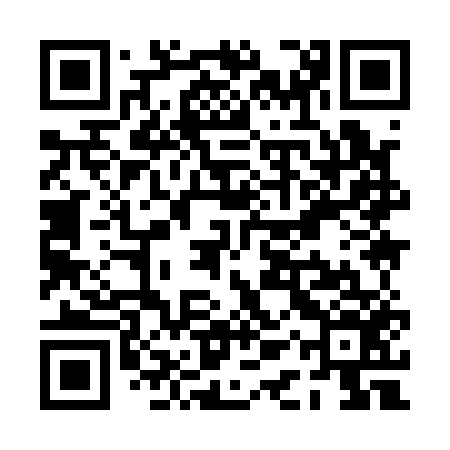 QR code for PAY156
